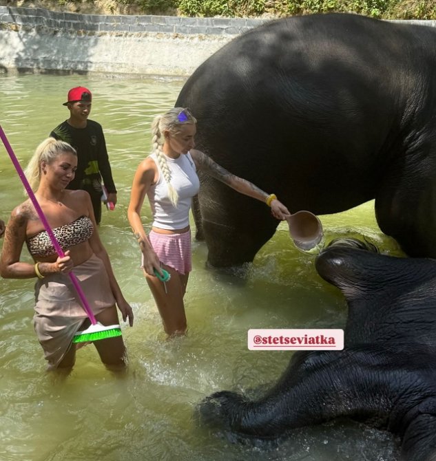 � ����� ������������ ��� ����� �� ��������� �������