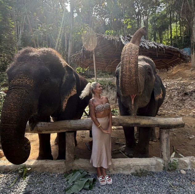 � ����� ������������ ��� ����� �� ��������� �������