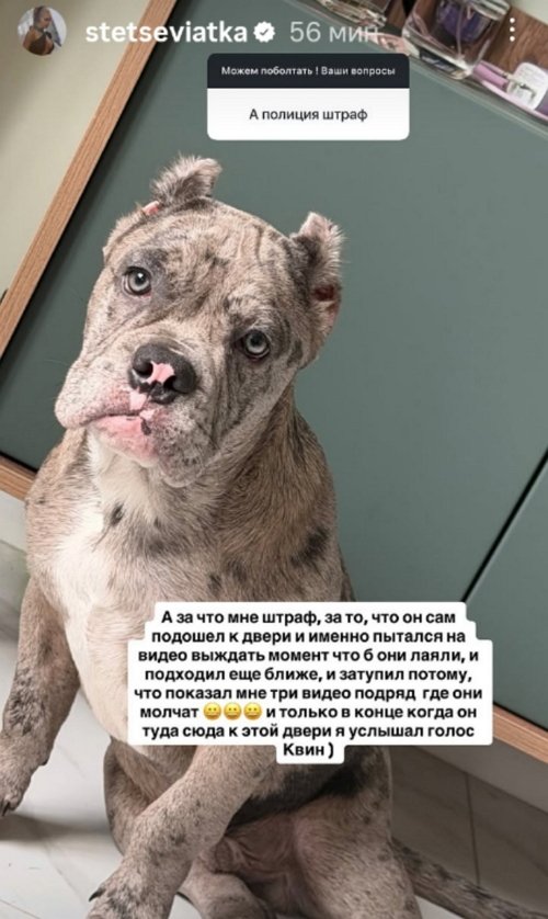 ��������� ��������: �� ������������ ��� ������