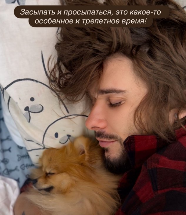 Евгения Ромашов задумал забрать у Хорошевых их собаку Евгения Ромашов задумал забрать у Хорошевых их собаку