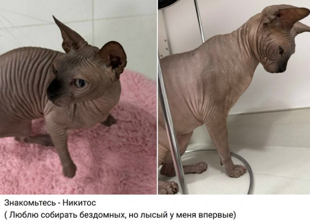 Евгения Дорожкина подобрала нового питомца Евгения Дорожкина подобрала нового питомца
