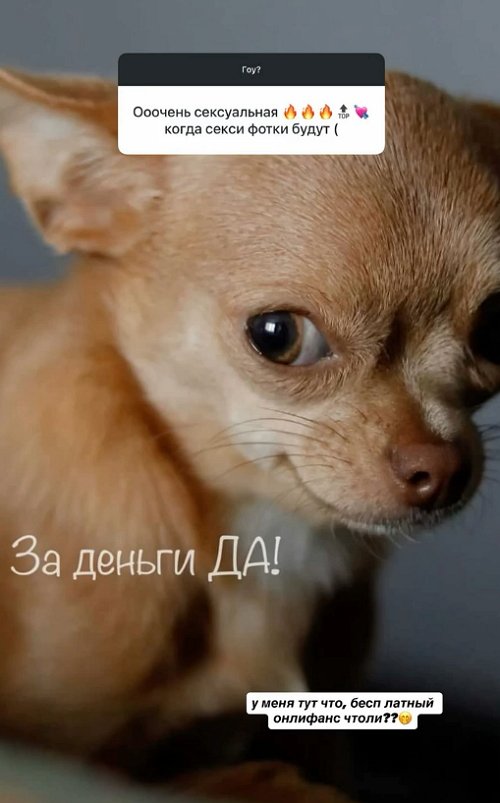 ������ ���������: �� ����� ����� � ����� �� ��������